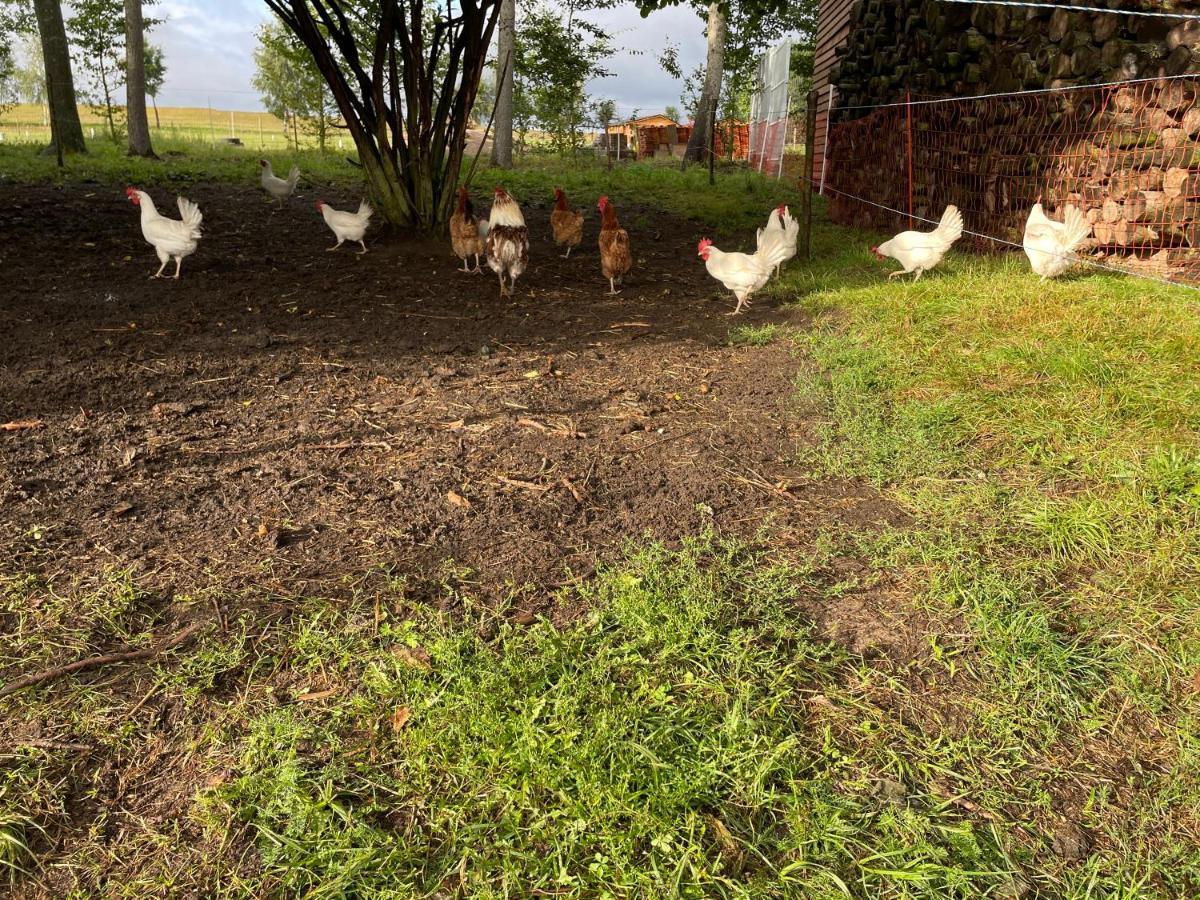 Jz Guest Ranch Dobiegniew