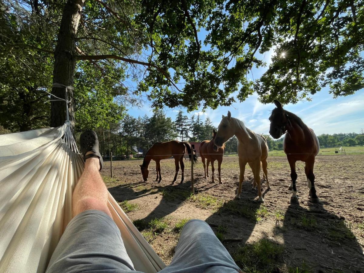Jz Guest Ranch * Dobiegniew